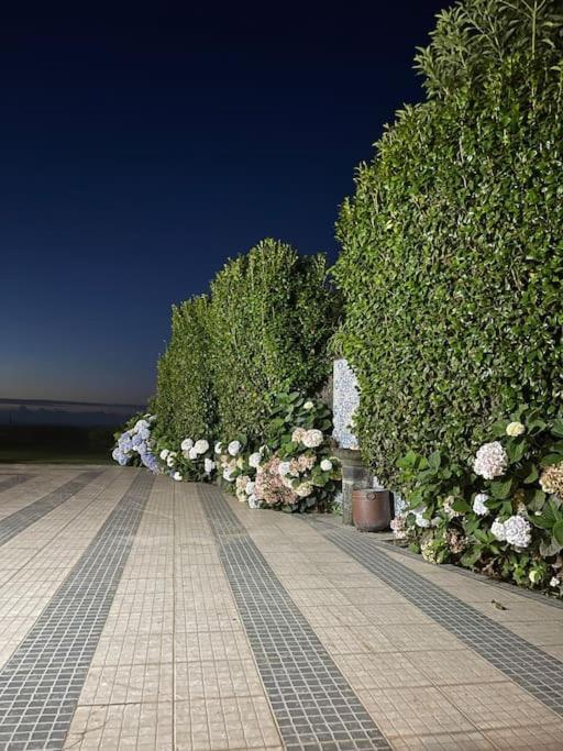 Azores Green Nature Rabo de Peixe Exterior photo
